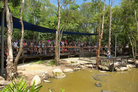 Hartley's Crocodile Adventures Breakfast With The Koalas - Tourism TAS 1