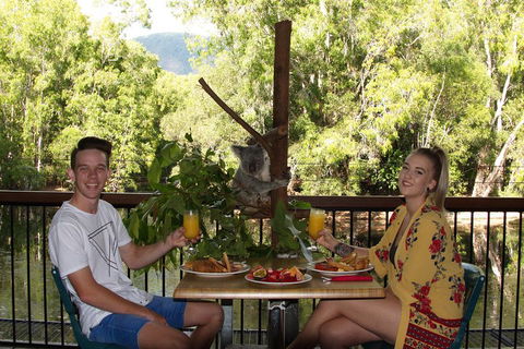Hartley's Crocodile Adventures Breakfast With The Koalas - Tourism TAS 5