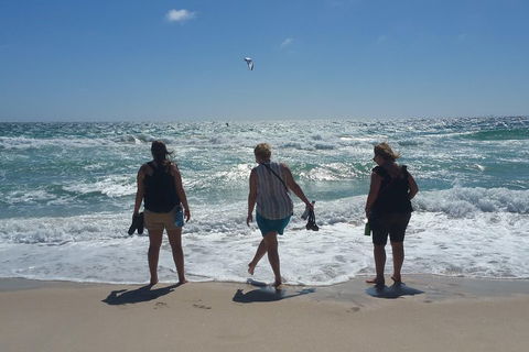 Very Best Of Perth Tour - Wildlife Park & City Highlights Tour - Tourism TAS 5