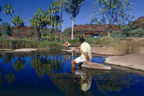 Palm Valley 4WD Day Tour - Hobart Tourism 1