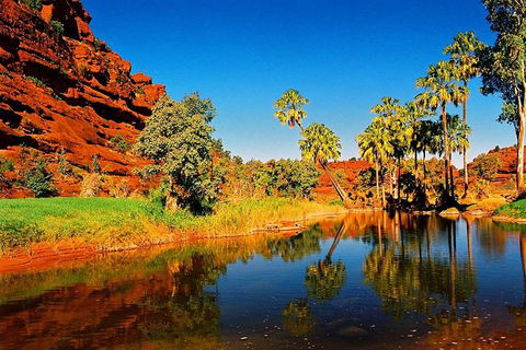 Palm Valley 4WD Day Tour - Hobart Tourism 2