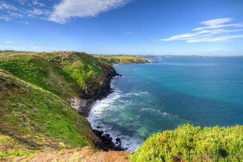 Phillip Island Penguin And Koala Highlights Day-Trip From Melbourne - Hobart Tourism 5