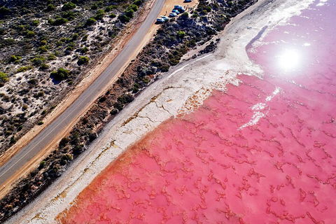 7-Day Exmouth Explorer Via Pinnacles Monkey Mia Ningaloo Reef Returning To Perth - Hobart Tourism 0