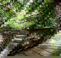 12 Apostles Eco-Friendly Great Ocean Road Iconic Adventure from Melbourne - Hobart Tourism