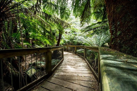 12 Apostles Eco-Friendly Great Ocean Road Iconic Adventure From Melbourne - Hobart Tourism 0