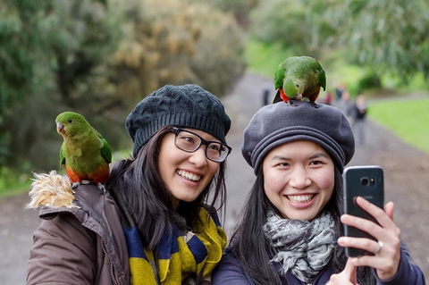 12 Apostles Eco-Friendly Great Ocean Road Iconic Adventure From Melbourne - Hobart Tourism 1