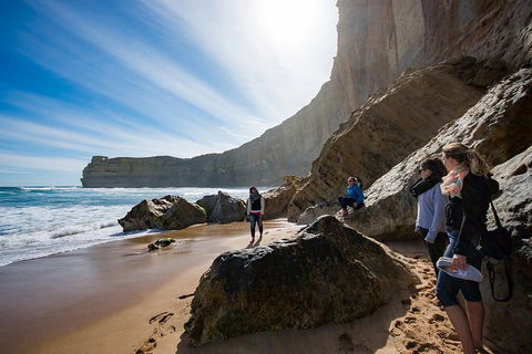 12 Apostles Eco-Friendly Great Ocean Road Iconic Adventure From Melbourne - Hobart Tourism 2