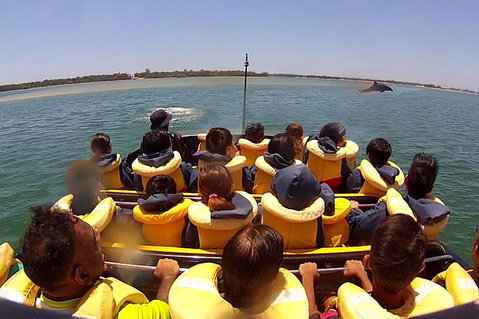 Jet Boat Express Ride - 30mins - Tourism TAS 5