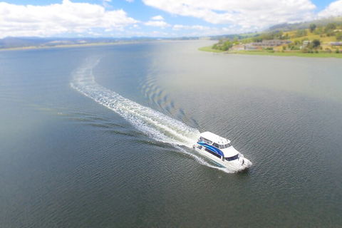 2.5 Hour Afternoon Discovery Cruise Including Cataract Gorge Departs At 1: 30 Pm - Hobart Tourism 0
