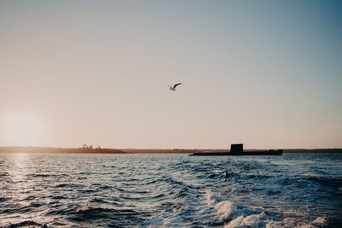 Phillip Island Twilight Cruise - Hobart Tourism 1