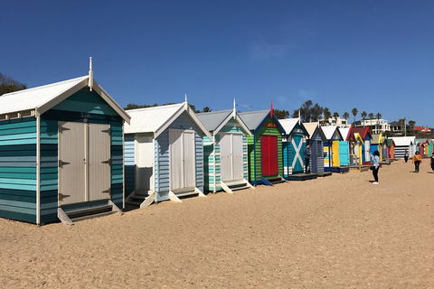 Phillip Island Penguin Parade, Brighton Bathing Boxes And Wildlife Park Tour - Hobart Tourism 3
