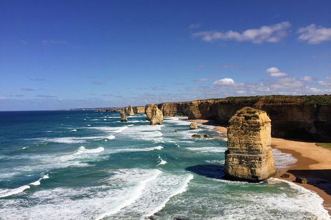 Great Ocean Road Reverse Itinerary PREMIUM Tour - Hobart Tourism 2