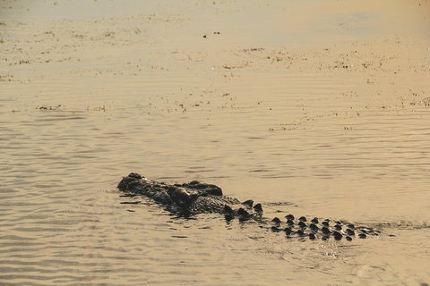 Yellow Water Cruise - Kakadu - Hobart Tourism 2