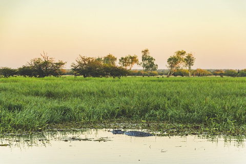 Yellow Water Cruise - Kakadu - Hobart Tourism 3