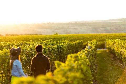 Margaret River Private Tour - Tourism TAS 2