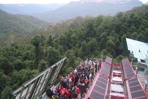 Blue Mountains Private Tour With Wildlife Park And River Cruise - Hobart Tourism 1