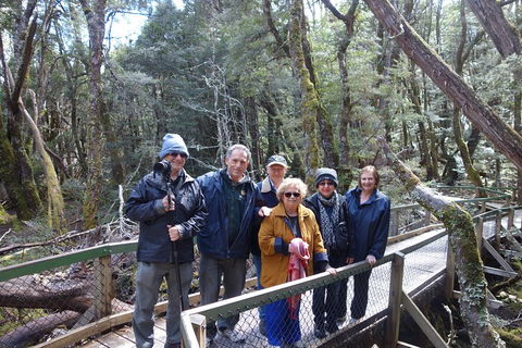 Blue Mountains Private Tour With Wildlife Park And River Cruise - Hobart Tourism 2