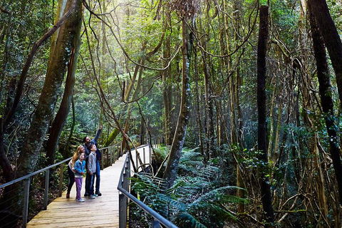 Blue Mountains Private Tour With Wildlife Park And River Cruise - Hobart Tourism 4