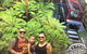 Blue Mountains Private Full-Day Tour From Sydney With Cruise - thumb 3