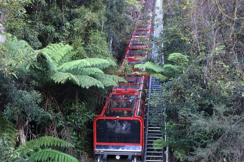 Blue Mountains Private Full-Day Tour From Sydney With Cruise - Tourism TAS 5