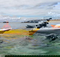 Seal Island and Penguin Island or Point Peron Sea Kayak Tour - Hobart Tourism