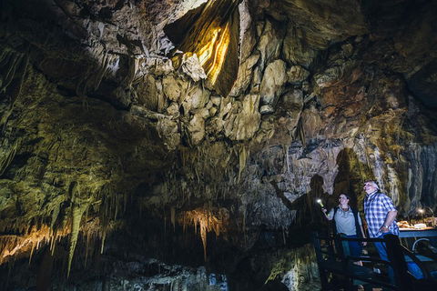Ngilgi Cave Semi-guided Tour - Tourism TAS 0