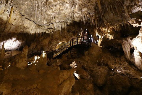 Ngilgi Cave Semi-guided Tour - Tourism TAS 2
