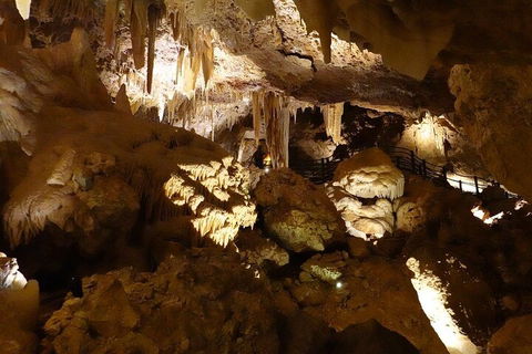 Ngilgi Cave Semi-guided Tour - Tourism TAS 3