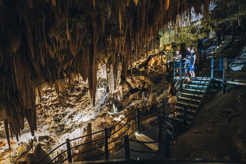 Ngilgi Cave Semi-guided Tour - Tourism TAS 5