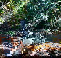 Aquaduck  Your choice of Gold Coast Rainforest Tour - Tourism TAS