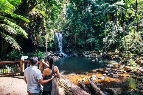 Aquaduck & Your Choice Of Gold Coast Rainforest Tour - Tourism TAS 0