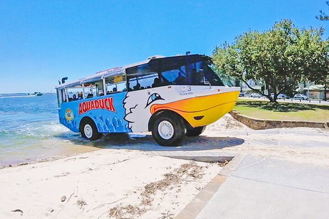 Aquaduck & Your Choice Of Gold Coast Rainforest Tour - Tourism TAS 1