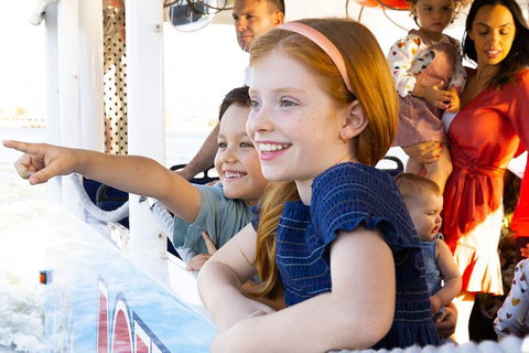 Aquaduck & Your Choice Of Gold Coast Rainforest Tour - Tourism TAS 2