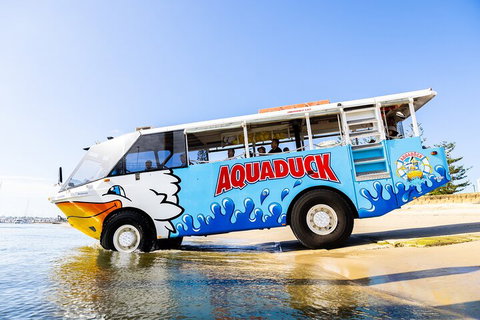 Aquaduck & Your Choice Of Gold Coast Rainforest Tour - Tourism TAS 3