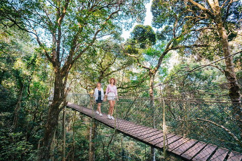 Aquaduck & Your Choice Of Gold Coast Rainforest Tour - Tourism TAS 4