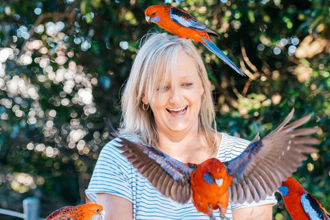 Aquaduck & Your Choice Of Gold Coast Rainforest Tour - Tourism TAS 5