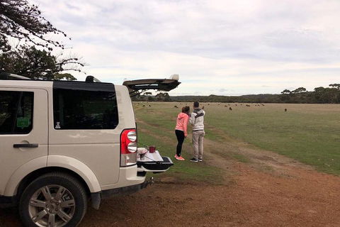 Kangaroo Island 4WD Tour - Flinders Chase - Hobart Tourism 3