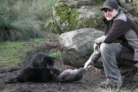 After Dark Tasmanian Devil Feeding Tour At Cradle Mountain - Tourism TAS 2