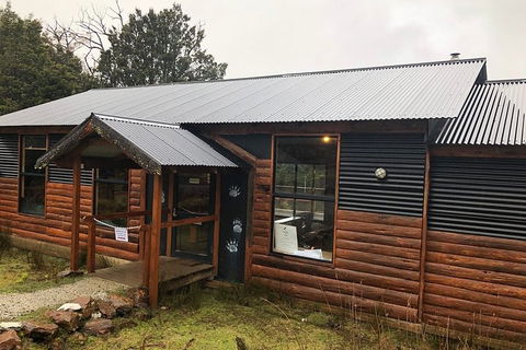 After Dark Tasmanian Devil Feeding Tour At Cradle Mountain - Tourism TAS 3