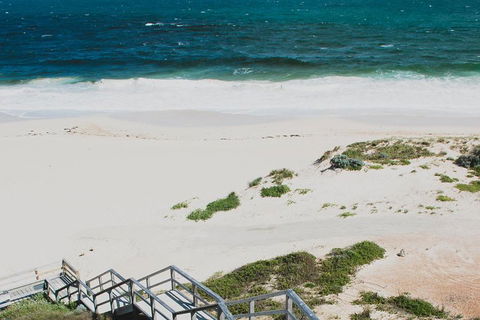 Yanchep & Lancelin - Wildlife, Cave And Sands - Hobart Tourism 5
