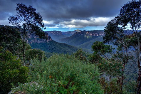 Ultimate Blue Mountains And Wildlife Tour - Tourism TAS 1