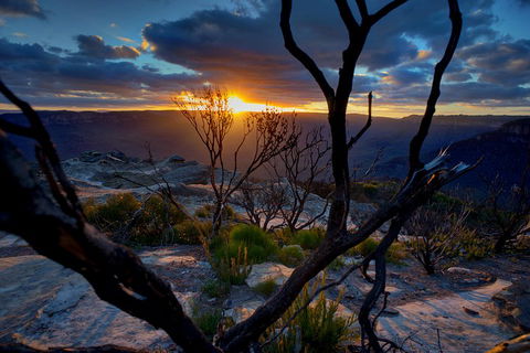 Ultimate Blue Mountains And Wildlife Tour - Tourism TAS 2