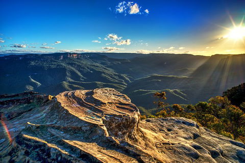 Ultimate Blue Mountains And Wildlife Tour - Tourism TAS 4
