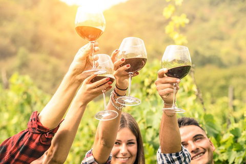 Barossa Valley Cellar Doors Luxury Wine Tour - Hobart Tourism 1