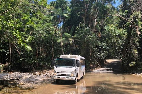 Cairns To Cooktown 4WD Tour - Tourism TAS 5