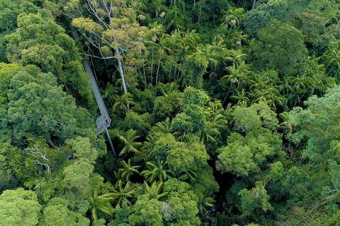 Natural Bridge, Skywalk And Mt Tamborine Adventure! - Tourism TAS 2