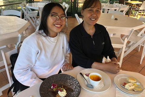 Natural Bridge, Skywalk And Mt Tamborine Adventure! - Tourism TAS 5