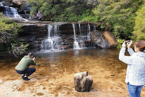 Blue Mountains Small Group Tour Enjoy A Sleep In, Waterfalls, Sunset & Dinner - Hobart Tourism 2