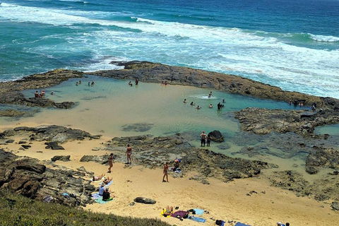 Pippies 3 Days 2 Nights Fraser Island Tour - Tourism TAS 5