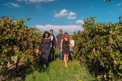 Barossa Valley Private Tour (from 2 To 11 People) - Hobart Tourism 0